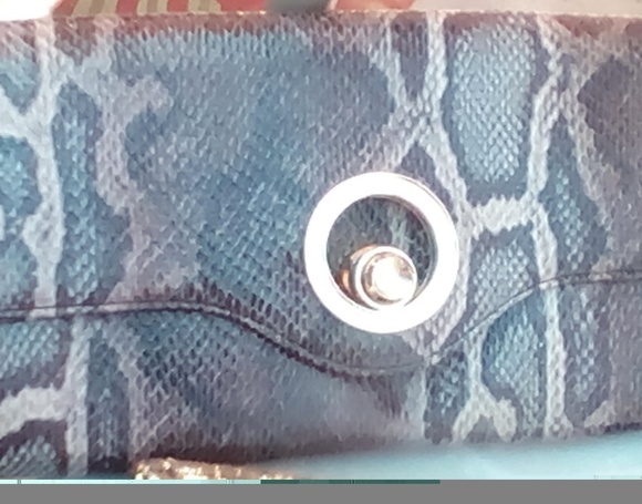 Handbags - The Limited clutch!